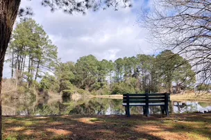 Palmetto Shores RV Resort – photo 4