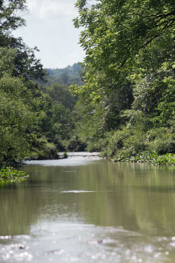 Park Image 7