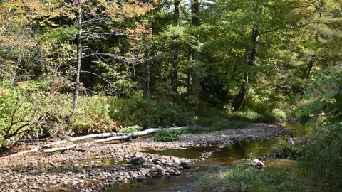 Dry Camping Field  Site — image 1 of 6