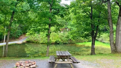 Bear Cabin — image 3 of 3