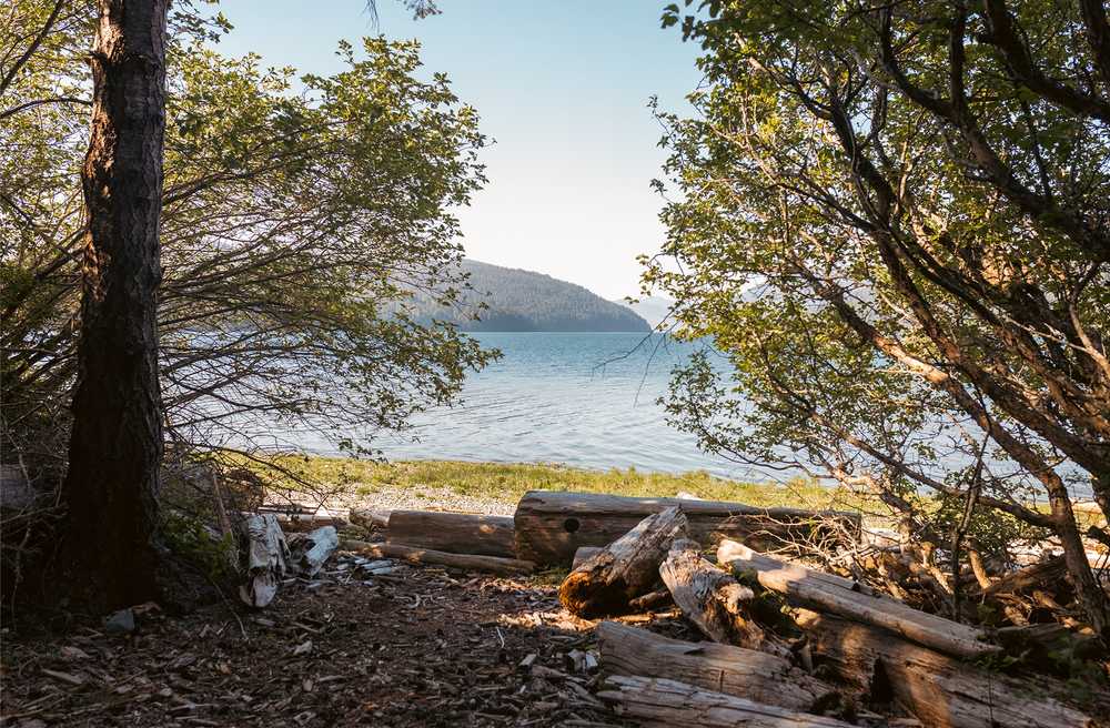 China Creek Campground and Marina, Port Alberni, British Columbia - Photo 4