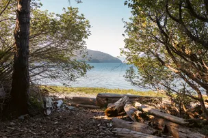 China Creek Campground and Marina – photo 4