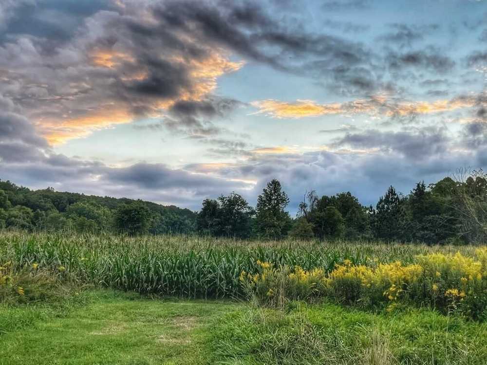 Bluffs at Cedar Creek Campground - Main Photo