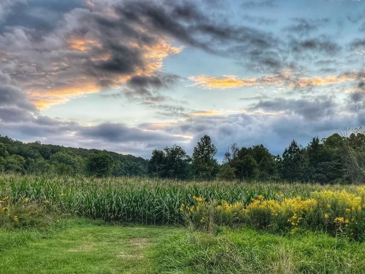 Bluffs at Cedar Creek Campground