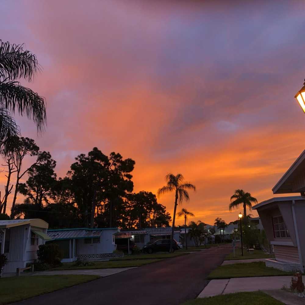 Royal Palms Mobile Home Park (Age Restricted 55+) - Photo 3