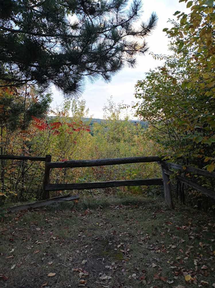 Park Image 5