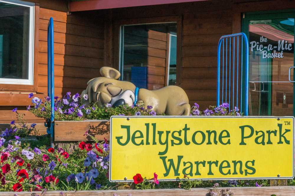 Yogi Bear's Jellystone Park™ CampResort Warrens Warrens, Wisconsin