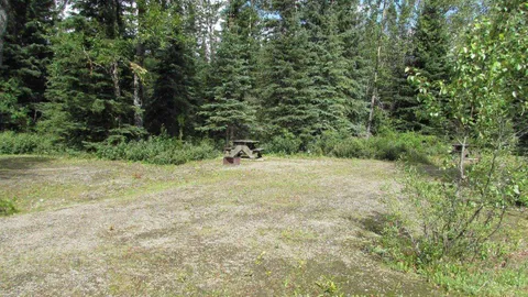 Single Site No Services — image 1 of 1