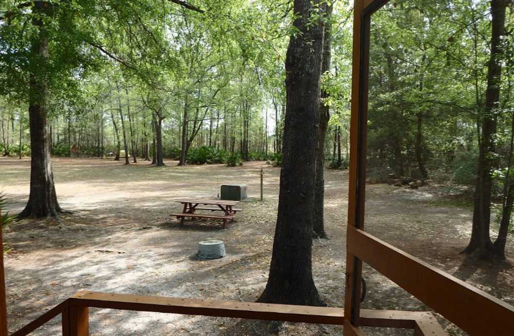 Okefenokee Pastimes Cabins & Campground - Photo 3