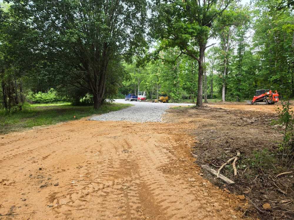 Park Image 11