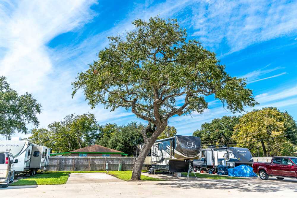 Plantation Oaks RV Park - Photo 4