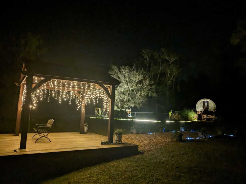 Rooterville Animal Sanctuary, Melrose, Florida - Photo 2
