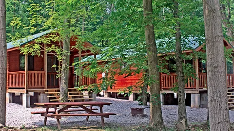 Standard Cabin — image 1 of 2