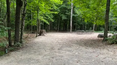 Tent- Double Site, Wooded — image 1 of 1