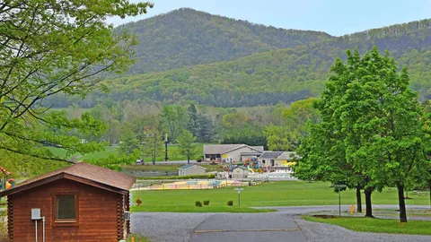 Camping Cabin — image 2 of 10
