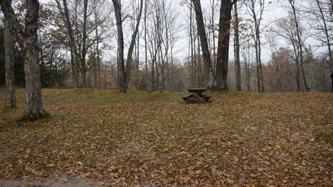 Tent Group Site (2 RV )  - Rustic — image 2 of 5