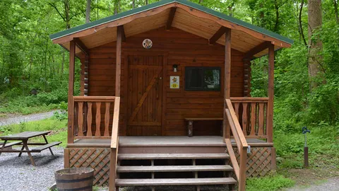 Cozy Cabin — image 2 of 12