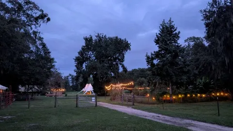 Covered Wagon — image 2 of 12