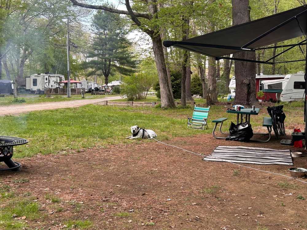 Hopeville Hideaway, Griswold, Connecticut - Photo 4