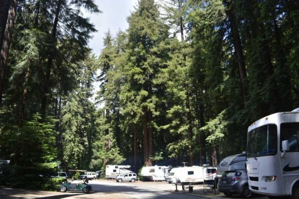 Park Image 8
