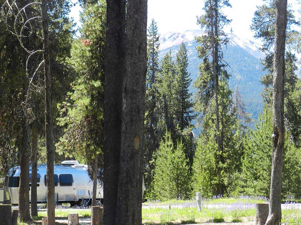 Diamond Lake RV Park - Photo 3