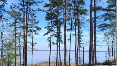 30/50 Amp Deluxe Waterview RV Site — image 5 of 5