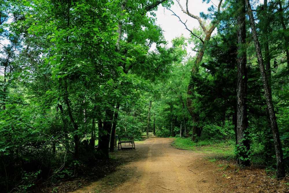 Park Image 8