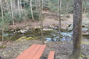 Catawba Falls Campground – photo 3