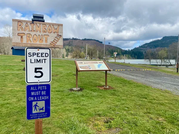 Mineral Lake Lions Den Campground, Mineral, Washington campground