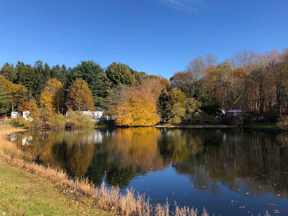 Park Image 1