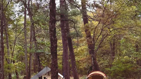 Sculpture Garden: Rustic Wooded Tent — image 1 of 1