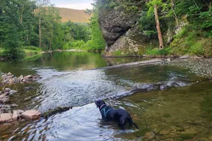 River's Edge Campground – photo 2