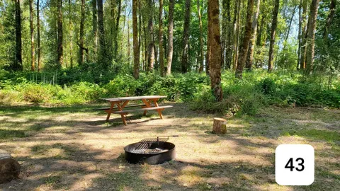 Primitive Tent Site — image 2 of 3