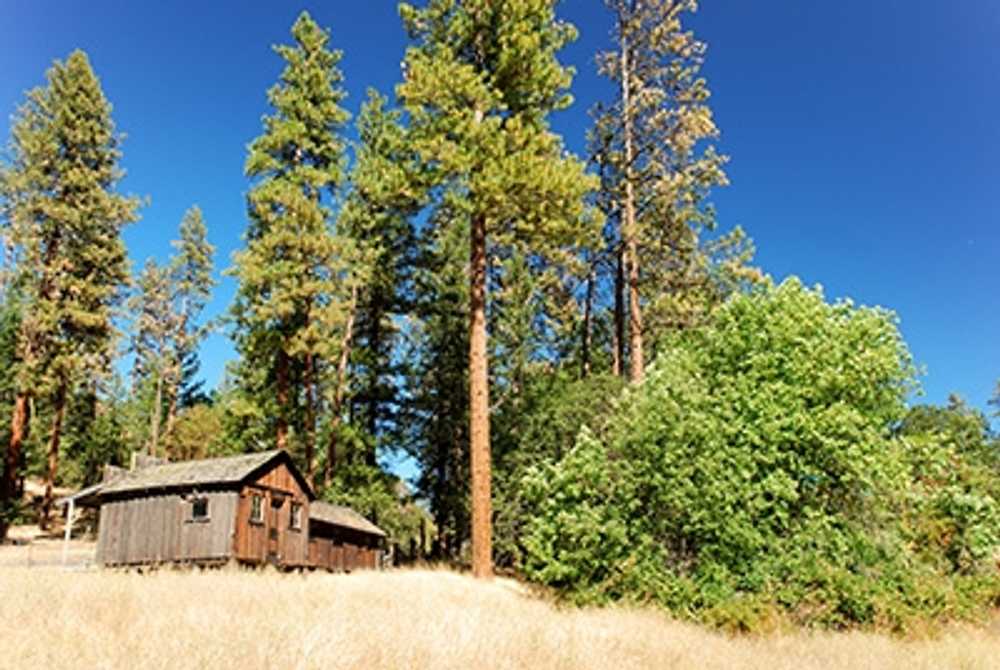 Park Image 12