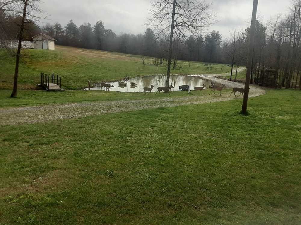 Ballyhoo Family Campground -  Crossville, TN - Photo 2