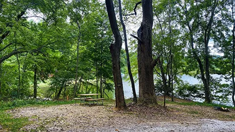 Owen's Loop / Single Tent / Lake Front — image 2 of 3