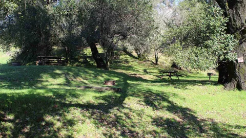 Primitive Tent Site — image 1 of 8