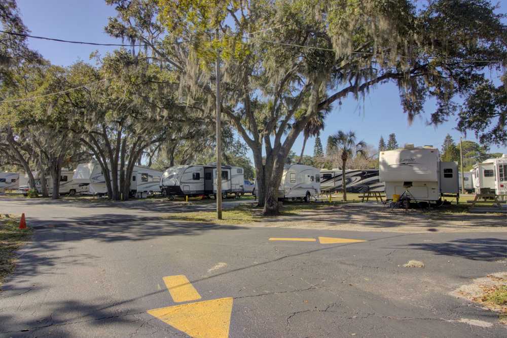 Park Image 9