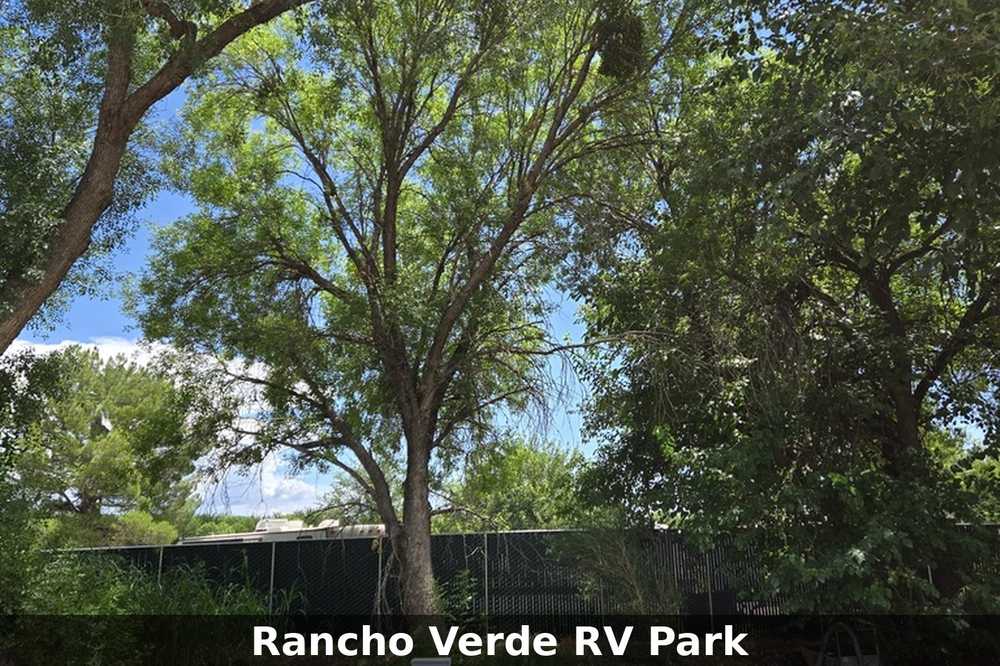 Park Image 8