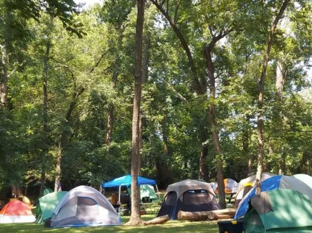 Caplinger Woods RV & Campground - Photo 2