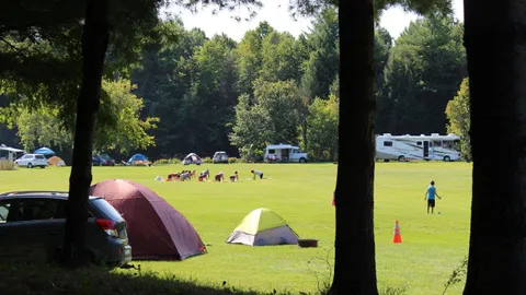 Primitive Tent Site — image 3 of 3