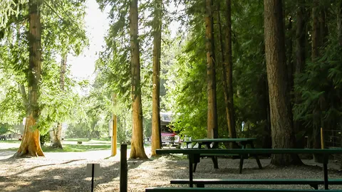 Tent / Unserviced Sites — image 1 of 4