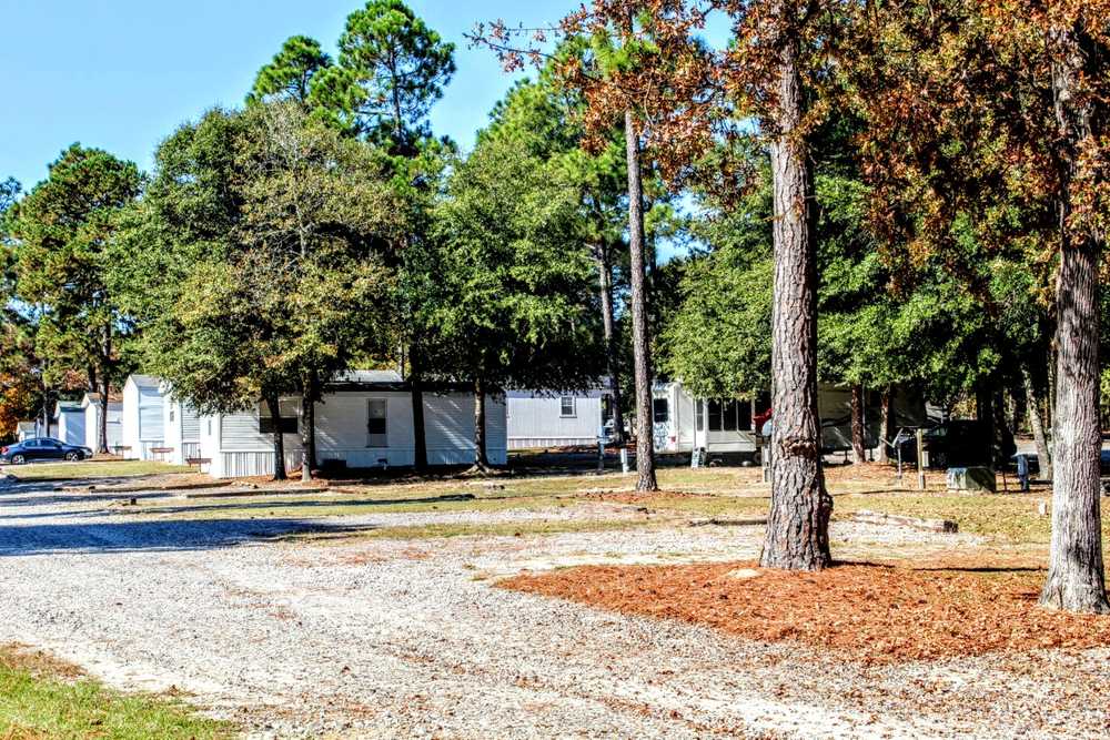 Riverwoods RV Park, Waynesboro, Georgia - Photo 3