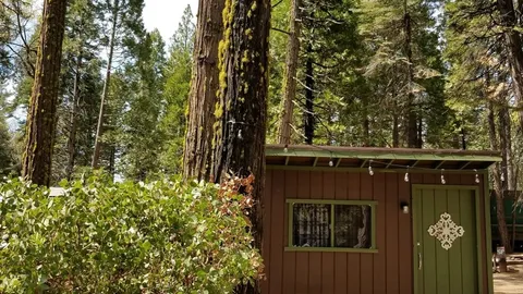 Large Cabin — image 1 of 3