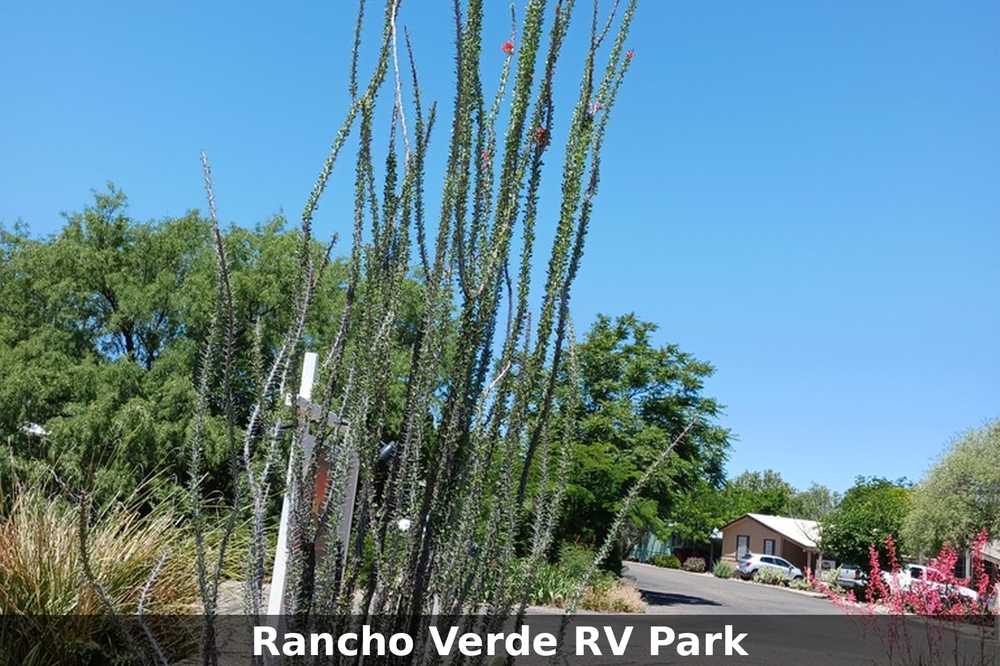 Park Image 19