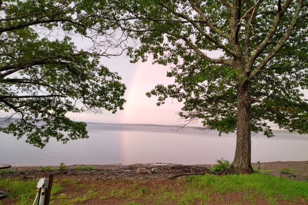 Park Image 4