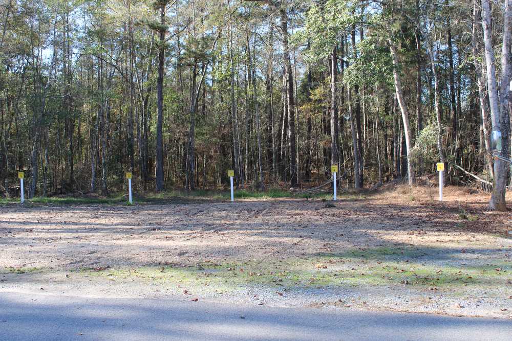 Park Image 11