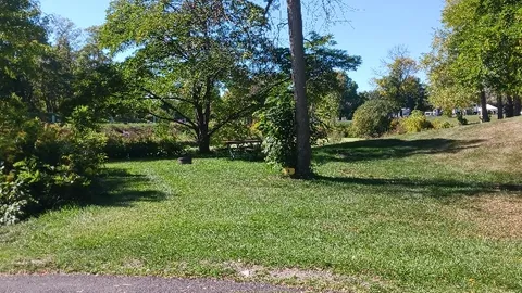 Primitive Tent Site — image 5 of 5
