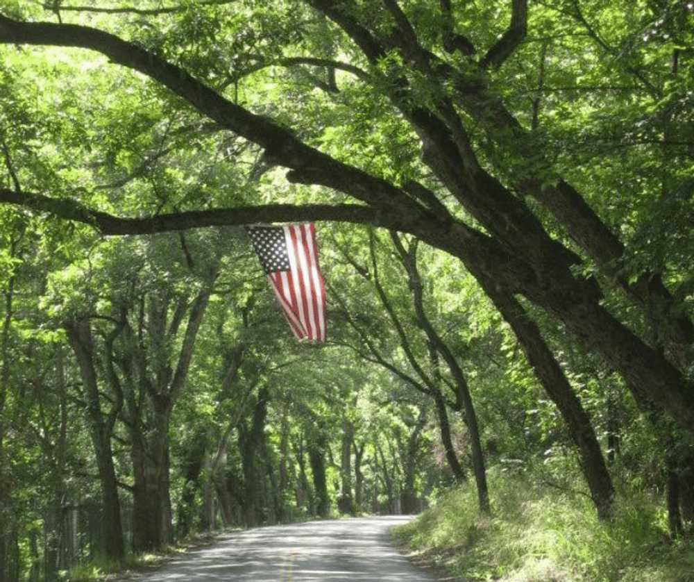 KL Ranch Camp Cliffside -  New Braunfels, TX - Photo 2