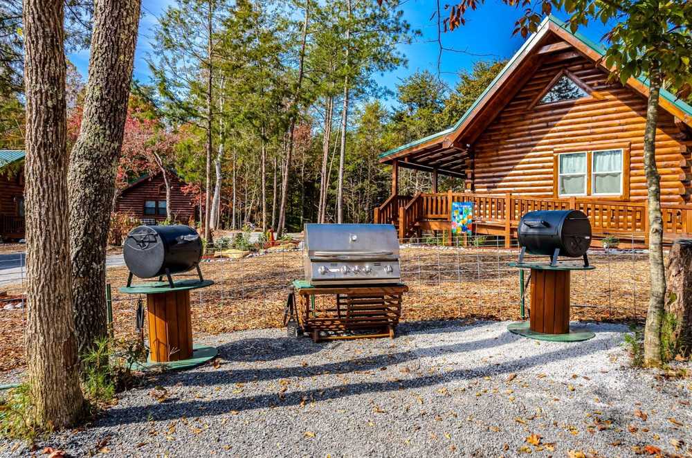 Twice is Nice - Englewood, TN - Photo 5